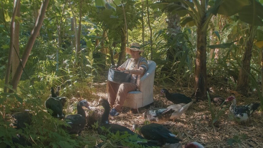 ALCINE 54: Crónica. Fotograma 'Pedro Tomás explica el mundo'. El Cofre Suena