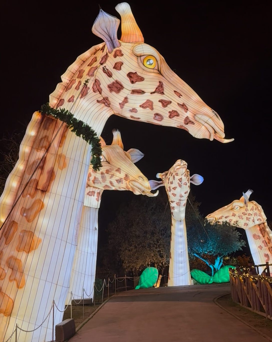 “Festival Brilla Zoo”: El plan navideño perfecto en Getafe