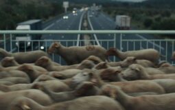 ‘Hasta la montaña’: la ensoñación política del pastor