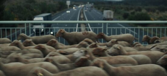 ‘Hasta la montaña’: la ensoñación política del pastor