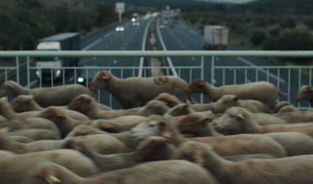 ‘Hasta la montaña’: la ensoñación política del pastor