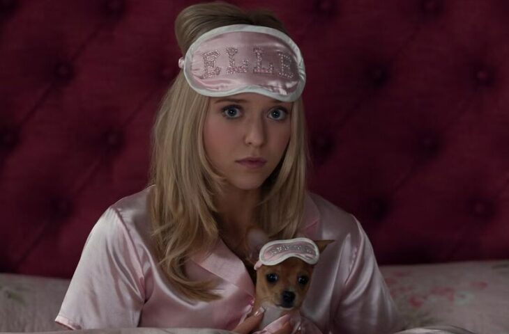 Prime Video presenta ‘Elle’ precuela de ‘Una rubia muy legal’