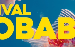 Río Babel 2026: toda la información que necesitas