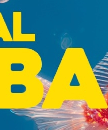 Río Babel 2026: toda la información que necesitas Río Babel 2026: toda la información que necesitas